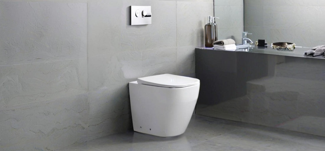 What is a bidet toilet for