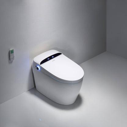 Integrated intelligent toilet/seat 3103