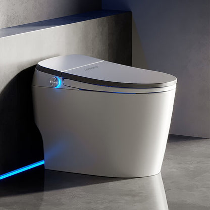 Integrated Three Color Intelligent Toilet 3101