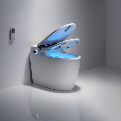 Integrated intelligent toilet/seat 3103