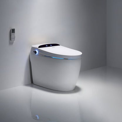 Integrated intelligent toilet/seat 3103