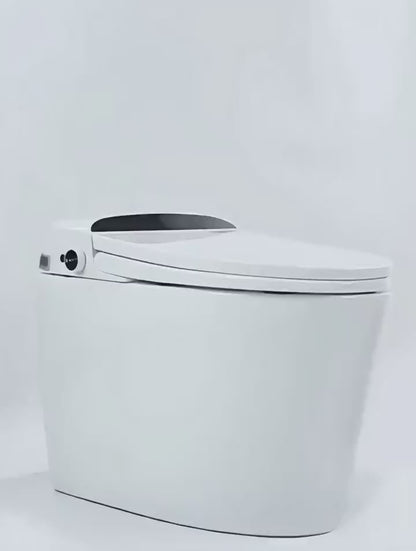 Integrated intelligent toilet/seat 3103